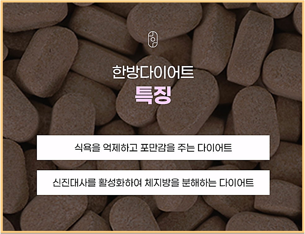 식욕과 포만감, 신진대사를 설명하는 인천다이어트한약 한방다이어트 특징